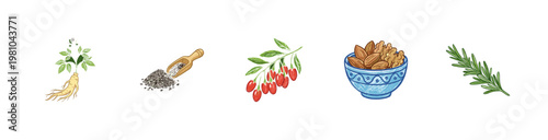 Organic Superfood Ingredients and Healthy Botanical Plants with Colorful Crayony Pencil Texture and Fluid Calligraphic Strokes