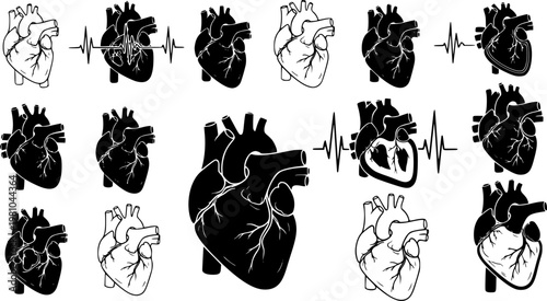Anatomical heart vector silhouette icon set. heartbeat, cardiovascular, anatomy, medical, health, cardiology illustration, biology, organ, human heart collection