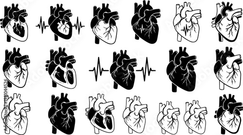 Anatomical heart vector silhouette icon set. heartbeat, cardiovascular, anatomy, medical, health, cardiology illustration, biology, organ, human heart collection