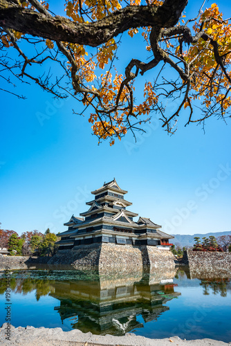 Japanese castle autumn leaf...