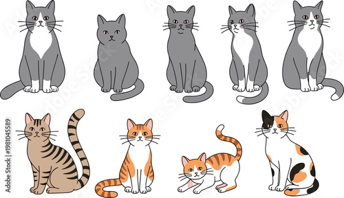 Cute Cat Vector Character Set Featuring Various Breeds Including Grey Tabby and Calico Kittens Sitting and Stretching for Pet Care Domestic Animal and Veterinary Designs