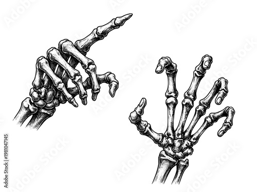 Skeletal Hand Claw Engraving Art