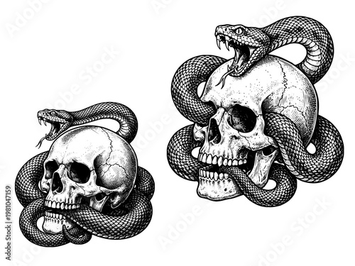 Hell Serpent Skull Engraving Art