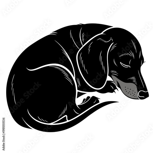 Dachshund dog silhouette curled up sleeping in minimalist vector style isolated on white background

