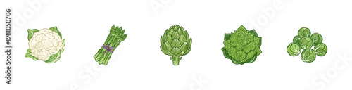 Healthy Green Vegetables and Edible Brassica Plants with Inky Crayon Pencil Texture and Organic Textures