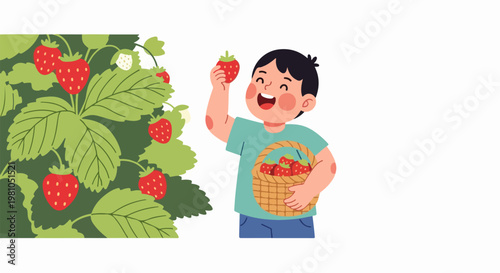 Cheerful child picking ripe strawberries by a strawberry plant with woven basket illustration