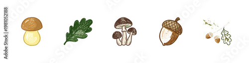 Edible Forest Porcini Mushrooms and Oak Acorns with Textured Inky Pencil Texture and Crayon Colorful Aesthetic