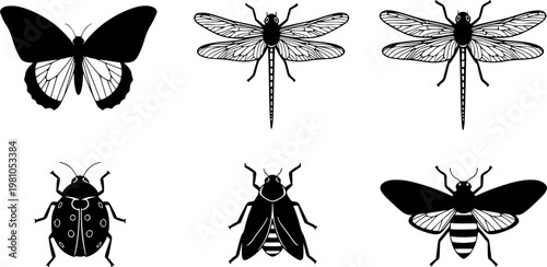 Flat design decorative insect icon set six silhouettes butterfly dragonfly ladybug moth bee simple isolated black vector minimalist lineart collection
