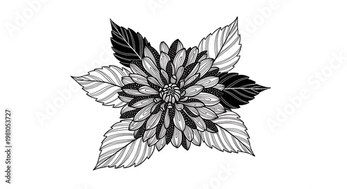 Dahlia flower grayscale.