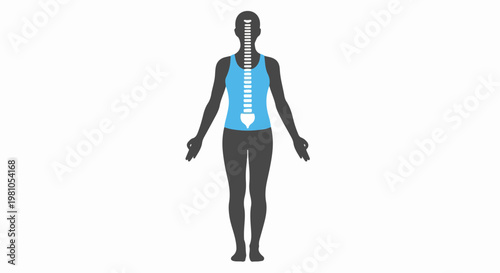 Vector silhouette of a human body anatomy with highlighted spine and torso in blue and scalable