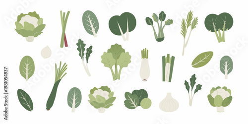 Variety of fresh green leafy vegetables and white bulbous stems