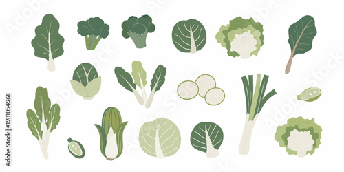 A colorful illustration depicting various types of fresh green vegetables
