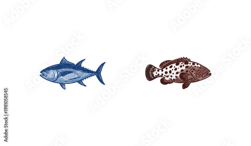 Marine Fish and Edible Saltwater Seafood Species with Fluid Crayon Pencil Texture and Crayon Colorful Aesthetic