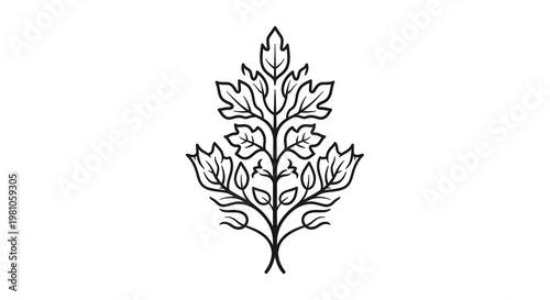 A minimalist line drawing of a tree with leaves on transparent background
