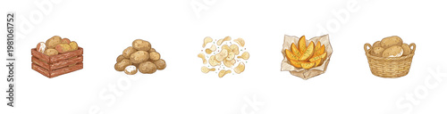 Potato Harvest and Organic Vegetable Products with Inky Pencil Texture and Crayon Colorful Aesthetic