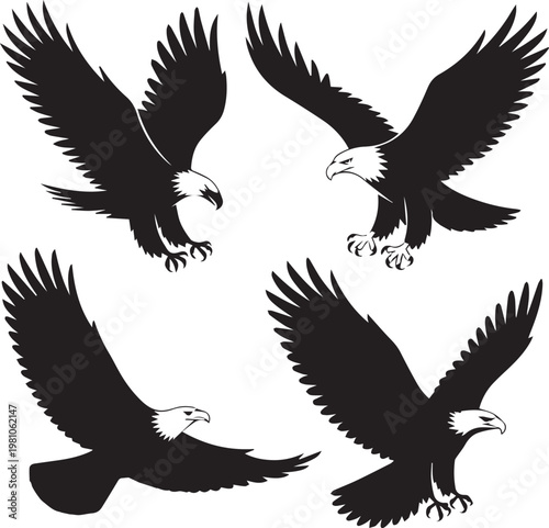 Four bald eagles captured in dynamic flight and landing poses against a stark background