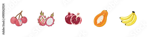 Tropical and Exotic Fruits Collection with Colorful Crayony Pencil Texture and Fluid Colorful Outlines