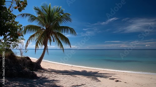 Beach Palm Waves 4K