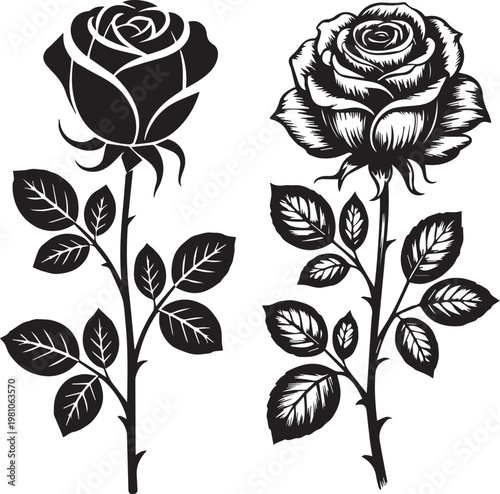 Elegant black and white illustration of two contrasting roses with intricate details and leaves.