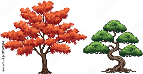 Autumn maple tree and bonsai pine vector illustration with seasonal foliage nature plants and decorative garden trees