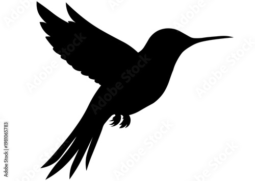 羽ばたく鳥のシルエット