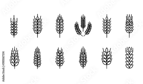 Wheat ears icon set with grain spike symbols in different shapes agriculture vector collection