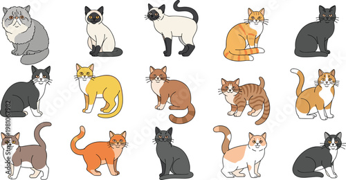 Large Collection of Diverse Flat Style Cat Characters Including Siamese, Tabby, and Persian Breeds for Pet Related Graphic Design and Digital Illustration Projects