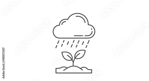 Seedling Growing in the Rainy Weather.