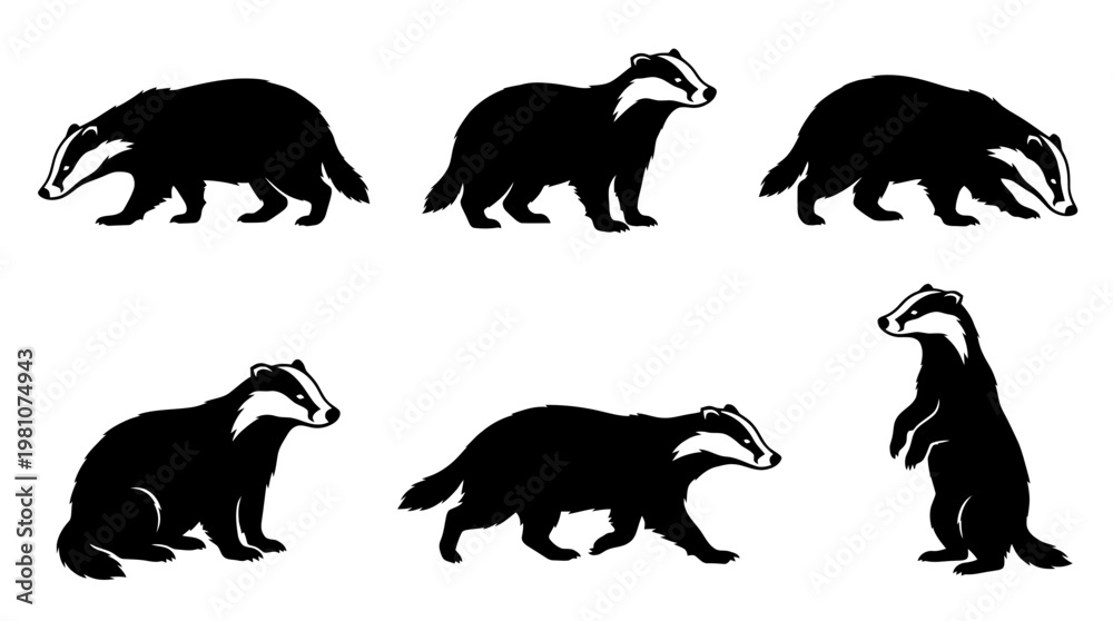 Obraz premium badger silhouette vector set