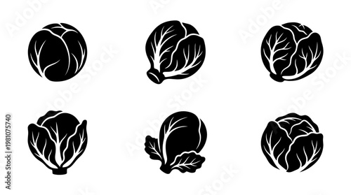 brussels sprout silhouette vector set