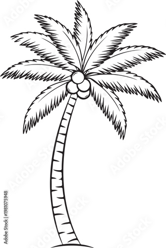 Palm Tree Tropical Island Nature Minimal Line Vector Illustration Coconut Tree Summer Beach Element Isolated on White