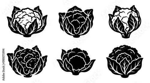 cauliflower silhouette vector set
