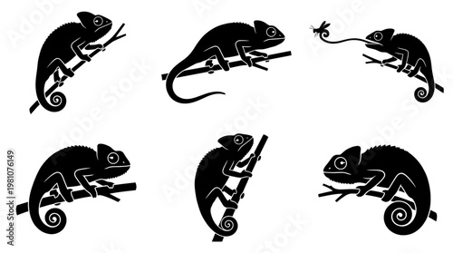 chameleon silhouette vector set
