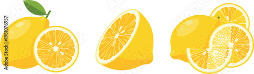 Fresh Lemon Fruit and Slices Illustration Set Featuring Whole Lemon, Halved, and Sliced Segments for Culinary and Beverage Use