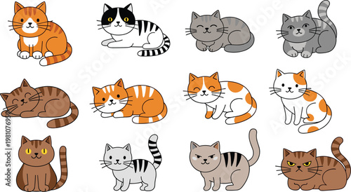 Large Collection of Twelve Adorable Vector Cat Characters in Various Breeds and Poses Including Sitting Orange Tabby, Sleeping Brown Kitten, and Playful Calico Cats for Pet Designs