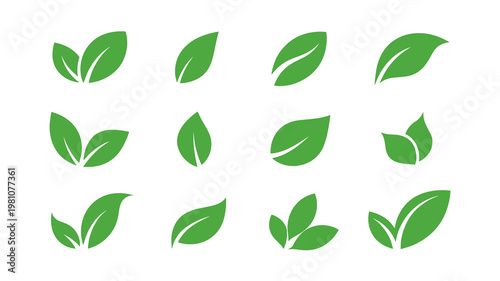 A set of twelve minimalist green leaf icons isolated on white background