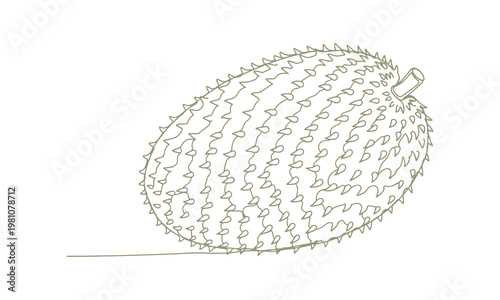 Tropical fruit guanabana with seeds, simple vector line illustration.