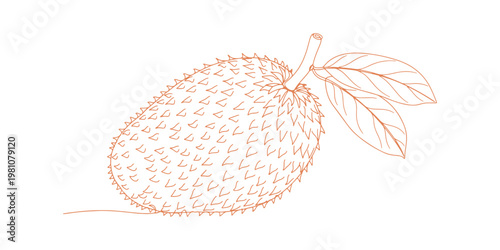 Tropical guanabana plant featuring large fruit, vector coloring page.