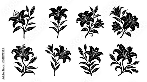 lily silhouette vector set