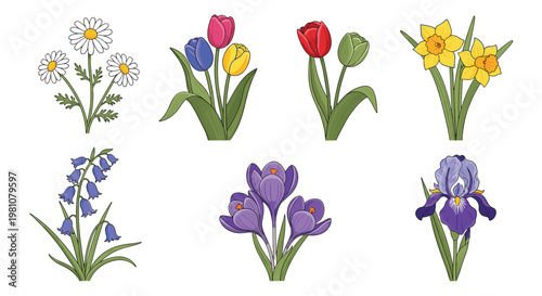 Variety of colorful spring flowers including daisies, tulips, daffodils, and irises are illustrated in a charming botanical set.