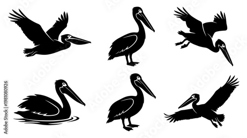 pelican silhouette vector set