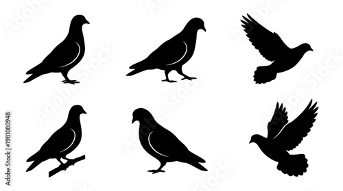 pigeon silhouette vector set
