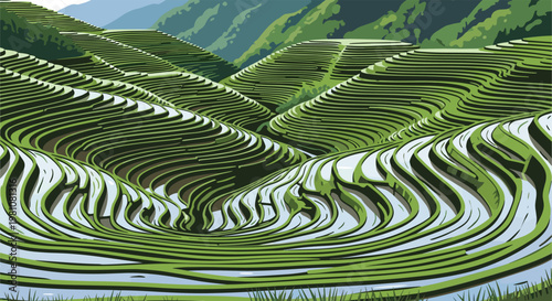Stunning green rice terrace fields follow the curves of the hills creating a beautiful agricultural landscape in the mountains.