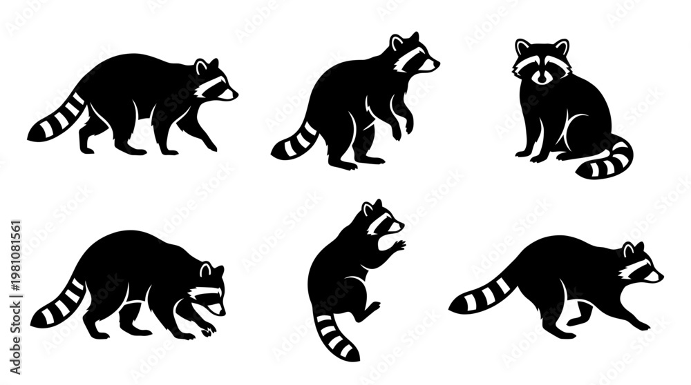 Obraz premium raccoon silhouette vector set