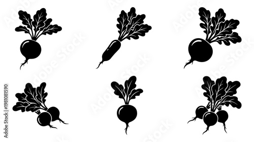 radish silhouette vector set