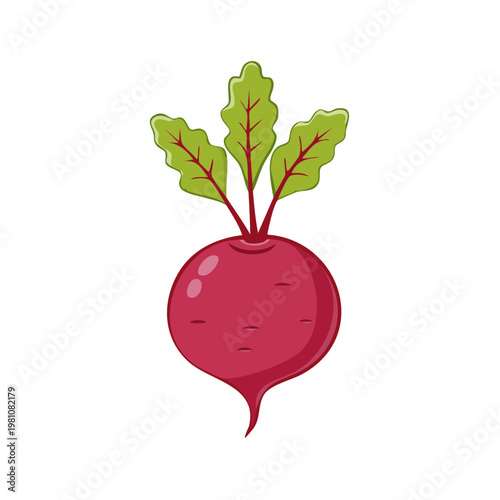 Vibrant hand drawn beet with green leaves illustration a fresh vegetable for healthy eating concepts