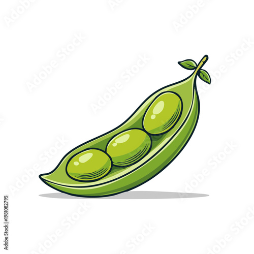 Fresh green pea pod illustration with three vibrant peas inside