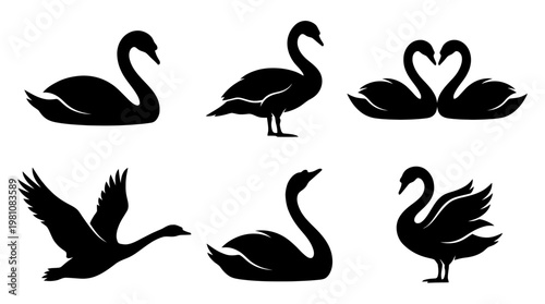 swan silhouette vector set