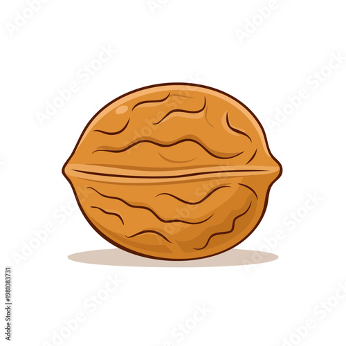 Whole Walnut Illustration Isolated on White Background Natural Food Source