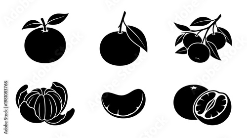 tangerine silhouette vector set